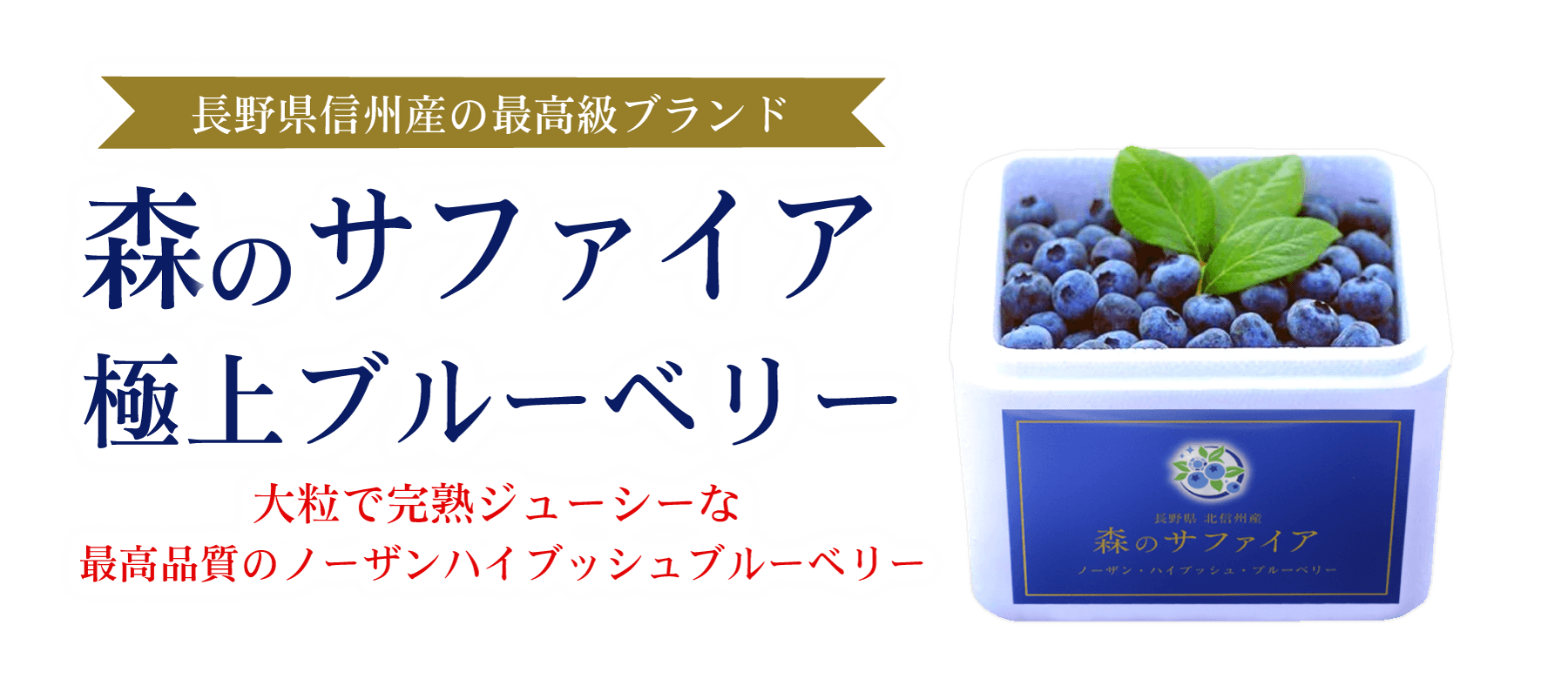 森のサファイア｜長野県信州産の極上ブルーベリー