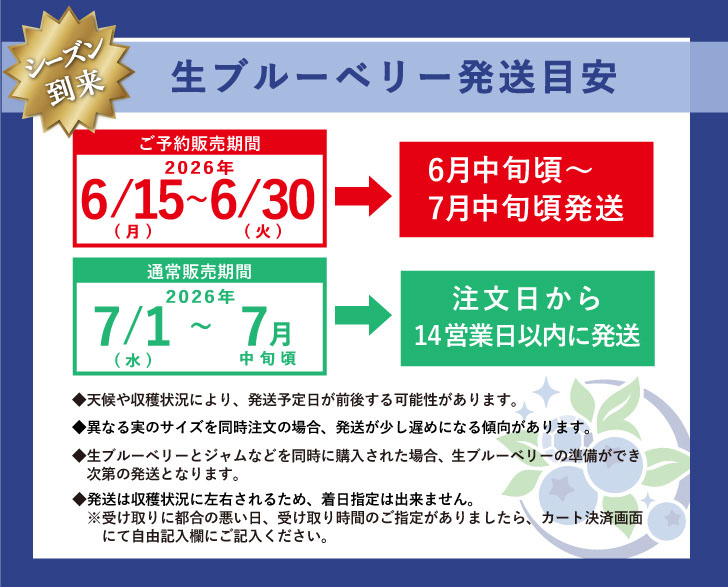 ブルーベリー　生果実　フレッシュ　予約　　