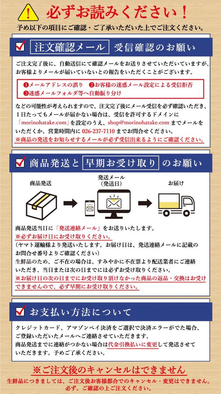 ブルーベリー　生果実　フレッシュ