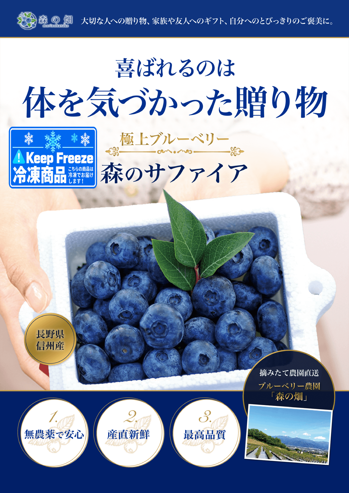 冷凍・ギフト