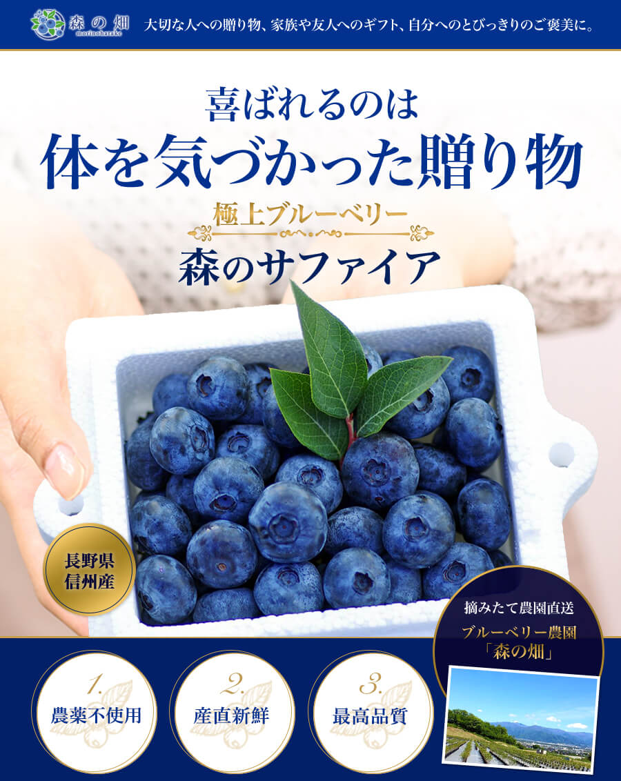 人気の製品 ブルーベリー 700ｇ 千葉県産 甘熟 生ブルーベリー 栽培期間中農薬不使用 通販 