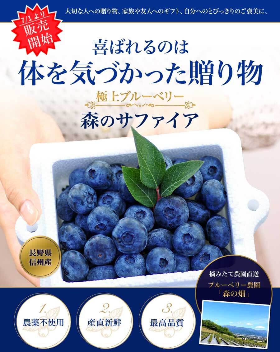 市場 送料無料 その他 1パック約100g 国産ブルーベリー お任せ 長野 徳島 サイズ 3パックセット