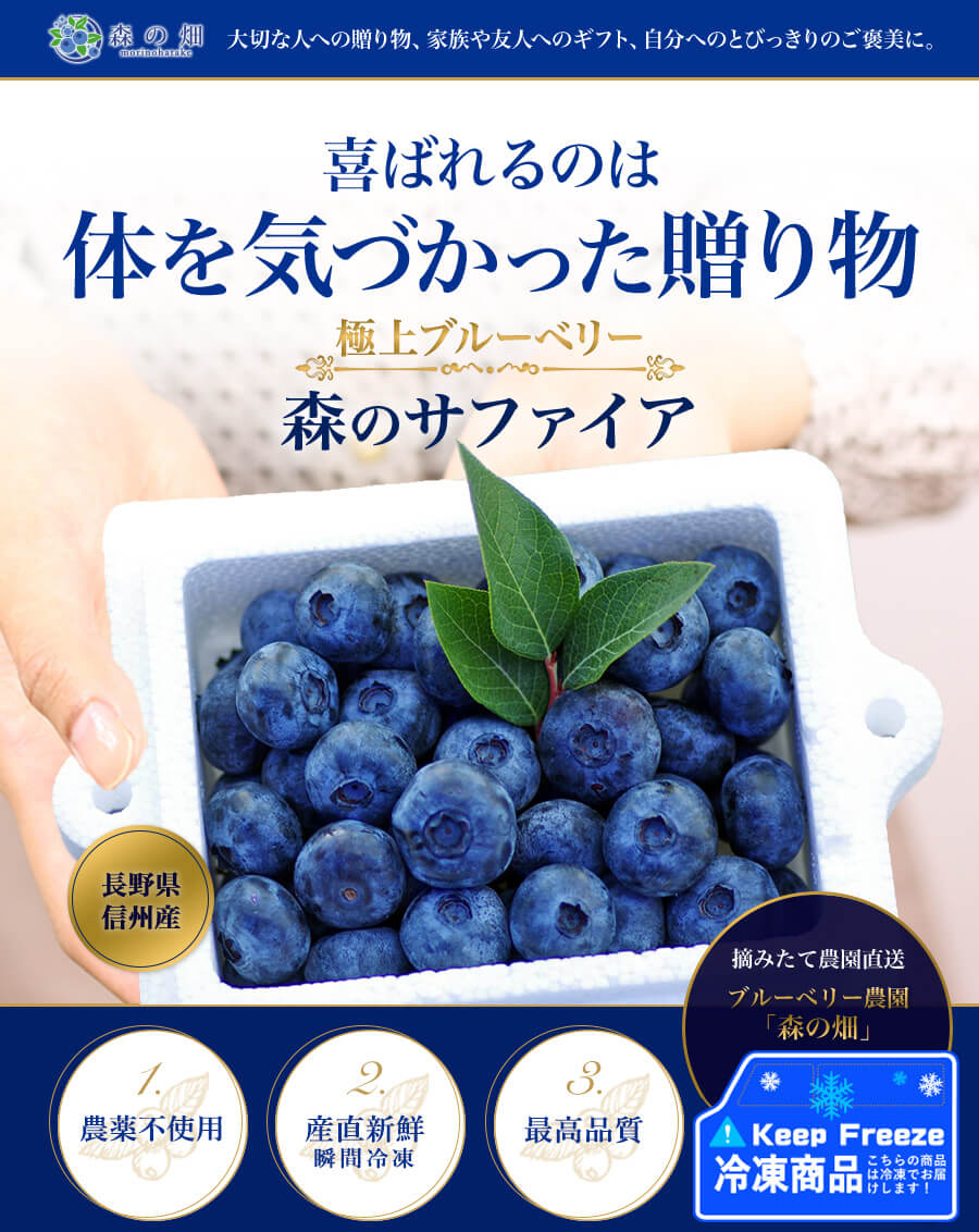 冷凍ブルーベリー 農薬不使用 4.5kg - 果物