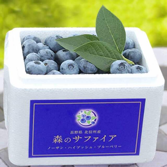 生果実L500g