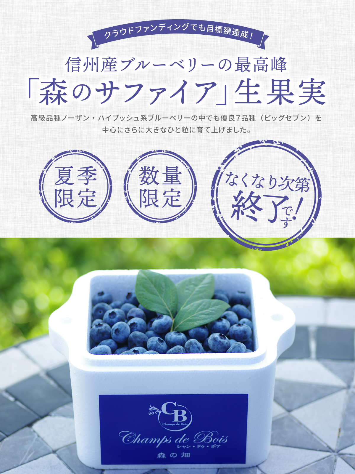最高品質の信州産大粒ブルーベリー